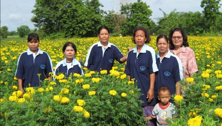 โครงการพัฒนาชนบท