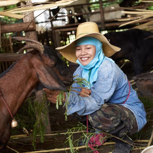 Rural Women's Development